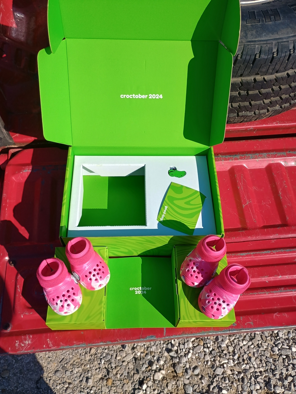 Croctober 2024 -Pink Dragon Fruit Pet Crocs